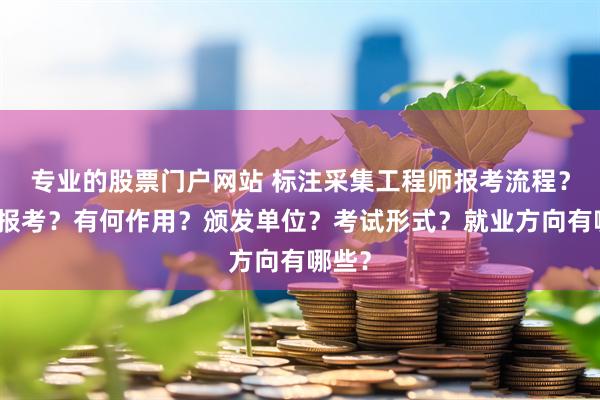 专业的股票门户网站 标注采集工程师报考流程？怎么报考？有何作用？颁发单位？考试形式？就业方向有哪些？