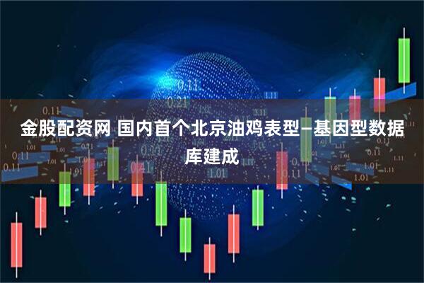 金股配资网 国内首个北京油鸡表型—基因型数据库建成
